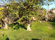 Satılır 4 sot torpaq Sumqayıt