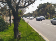 Satılır 8 sot torpaq Gənclik m.