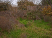 Satılır 6 sot torpaq Binəqədi