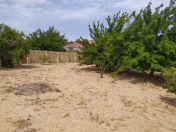 Satılır 12 sot torpaq Saray