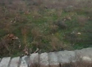 Satılır 2 sot torpaq Ramana