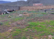 Satılır 10 sot torpaq Qobu