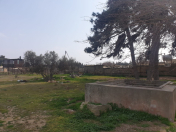 Satılır 28 sot torpaq Şüvəlan