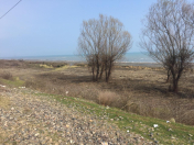 Satılır 100 sot torpaq Astara