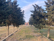 Satılır 43 sot torpaq Şüvəlan