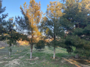 Satılır 20 sot torpaq Mərdəkan