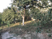 Satılır 5 sot torpaq Saray