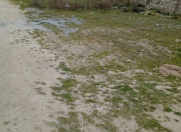 Satılır 2 sot torpaq Binə