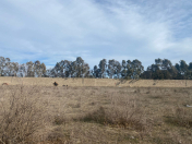 Satılır 120 sot torpaq Şüvəlan