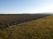 Satılır 857 sot torpaq Şabran