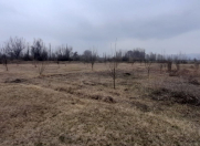 Satılır 230 sot torpaq İsmayıllı