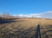 Satılır 1.5 sot torpaq Qəbələ