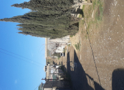 Satılır 4 sot torpaq Novxanı