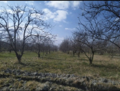 Satılır 55 sot torpaq Ağdaş