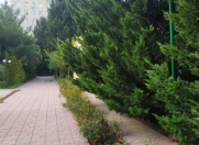 Satılır 1 otaqlı 6500 m2 obyekt Nəsimi r.