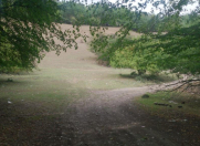 Satılır 200 sot torpaq Quba