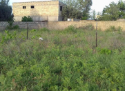 Satılır 6 sot torpaq Saray