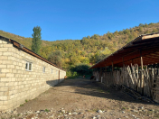 Satılır 1 otaqlı 400 m2 obyekt Şabran