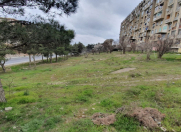 Satılır 28 sot torpaq Qaraçuxur