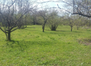 Satılır 63 sot torpaq Qəbələ