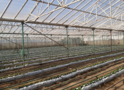 Satılır 1 otaqlı 1400 m2 obyekt Zirə