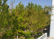 Satılır 3 sot torpaq Ramana