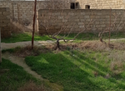 Satılır 3 sot torpaq Aygun City