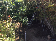 Satılır 4 otaqlı 70 m2 bağ evi Savalan