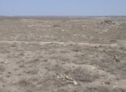 Satılır 4 sot torpaq Gəncə