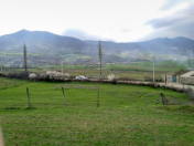 Satılır 12 sot torpaq Siyəzən