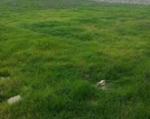 Satılır 170 sot torpaq Xaçmaz