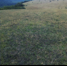 Satılır 115 sot torpaq Quba