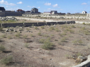 Satılır 10.5 sot torpaq Türkan