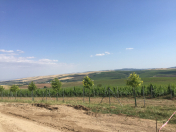 Satılır 12 sot torpaq Şamaxı