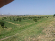 Satılır 500 sot torpaq Ağstafa