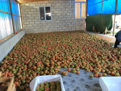 Satılır 2 otaqlı 12000 m2 obyekt Bakı