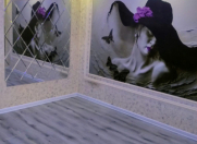 Satılır 3 otaqlı 95 m2 yeni tikili Bakı Dövlət Universiteti