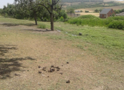 Satılır 15 sot torpaq Quba