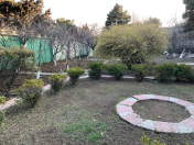 Satılır 10 sot torpaq Badamdar