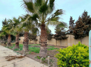 Satılır 12 sot torpaq Mərdəkan