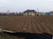 Satılır 8 sot torpaq Tovuz