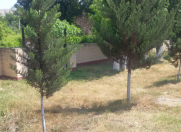 Satılır 12 sot torpaq Mingəçevir