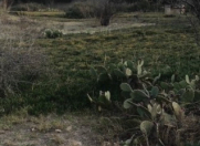 Satılır 24 sot torpaq Asan Xidmət-5