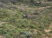 Satılır 6 sot torpaq Nardaran