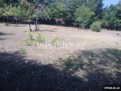 Satılır 8 sot torpaq Şəki