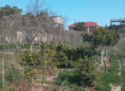 Satılır 30 sot torpaq Buzovna