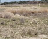 Satılır 75 sot torpaq Keşlə