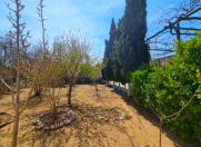 Satılır 5 sot torpaq Şüvəlan