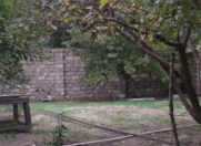 Satılır 4 sot torpaq Sumqayıt