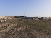 Satılır 70 sot torpaq Zirə